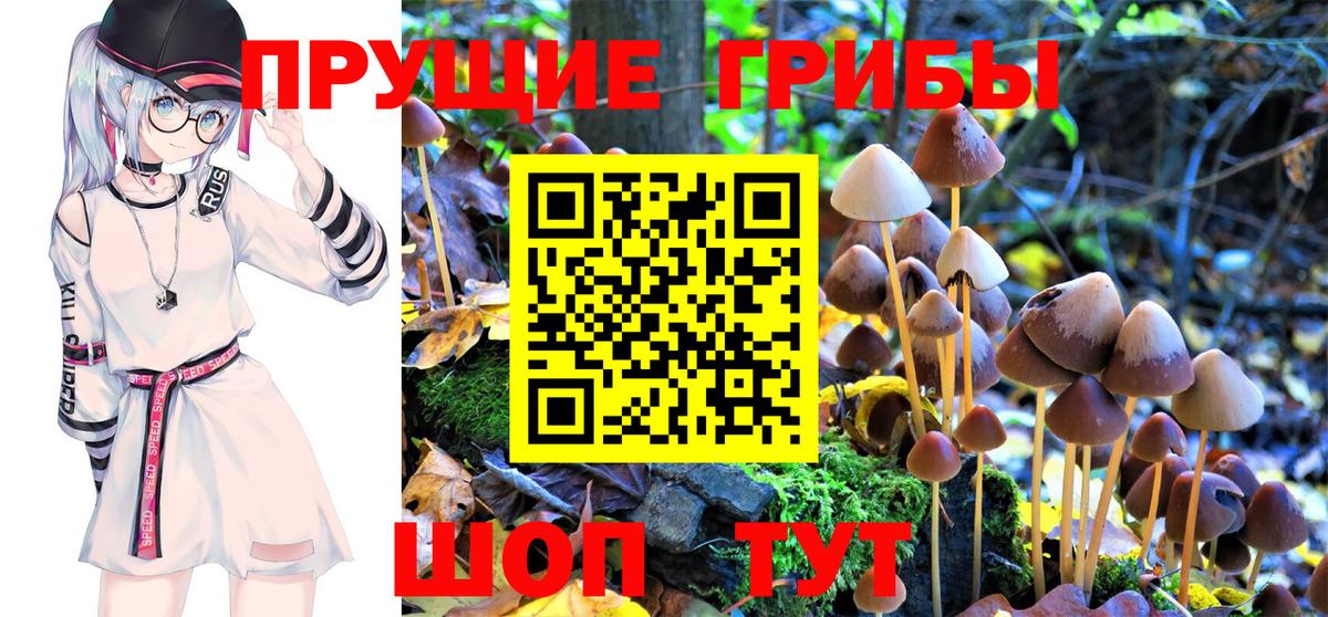 Псилоцибиновые грибы MAGIC MUSHROOMS  Вход с VPN  Наро-Фоминск  Псилоцибиновые грибы мицелий 