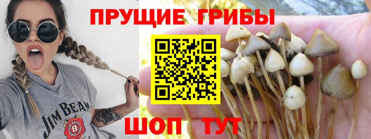Псилоцибиновые грибы MAGIC MUSHROOMS Наро-Фоминск